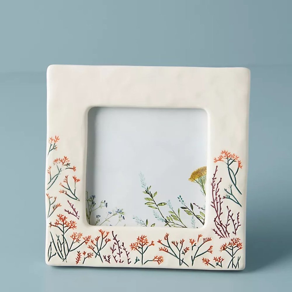 NWOT Anthropologie Dagny Frame